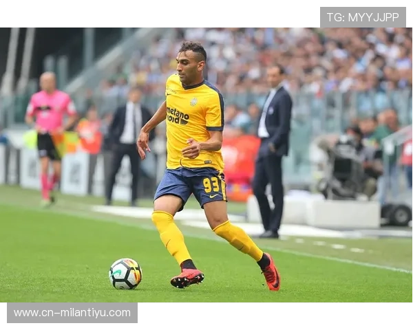 米兰体育官网网页版官网如何快速找到你关心的比赛信息与球队动态