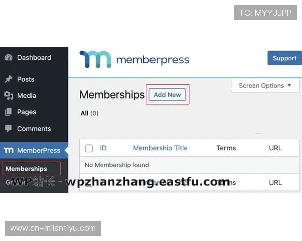 大满贯网页版如何快速提升等级，实用技巧与新手入门指南推荐