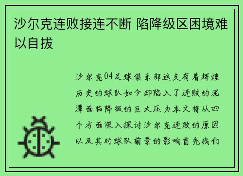 沙尔克连败接连不断 陷降级区困境难以自拔