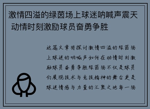 激情四溢的绿茵场上球迷呐喊声震天 动情时刻激励球员奋勇争胜
