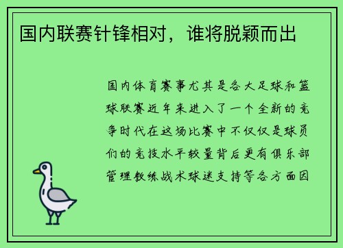 国内联赛针锋相对，谁将脱颖而出