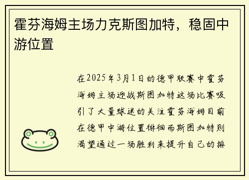 霍芬海姆主场力克斯图加特，稳固中游位置
